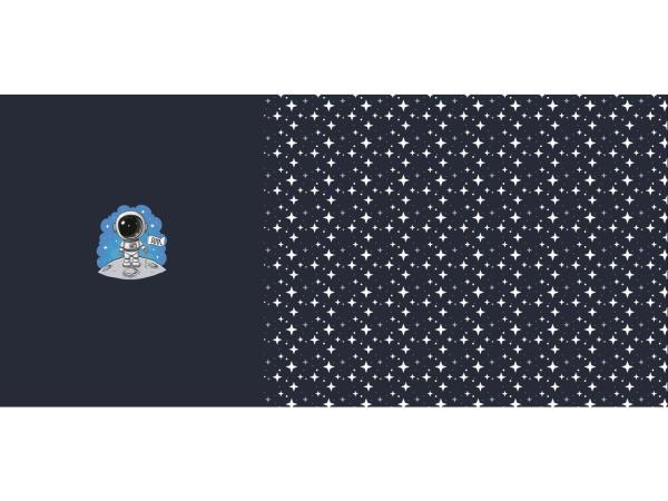 Baumwolljersey Panel ca. 66 cm Astronaut